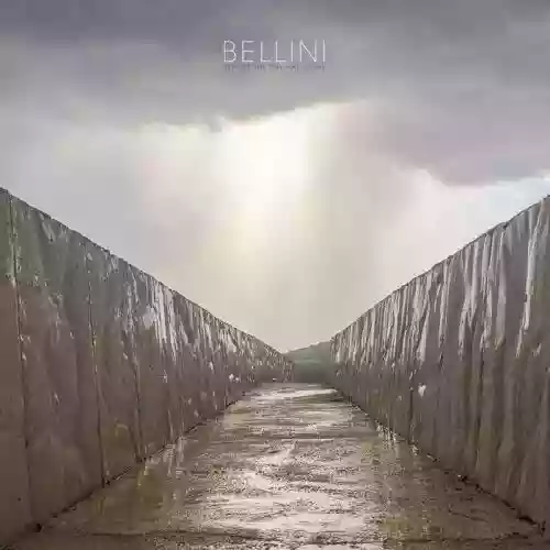 Cover Bellini - Before The Day Has Gone