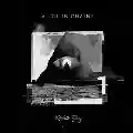 <b>Alice in Chains</b> • Rainier Fog