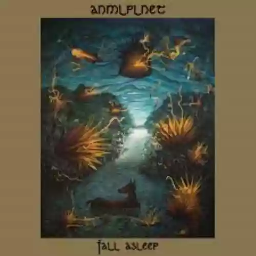 Cover di Fall Asleep
