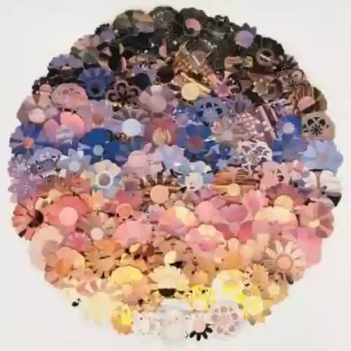 Cover di Bloom