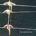 <b>The Messthetics</b> • The Messthetics