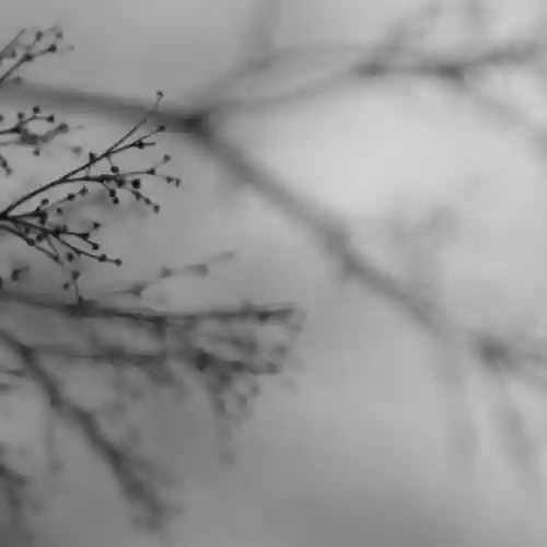 Cover Dakota Suite   Emanuele Errante   Dag Rosenqvist - What Matters Most