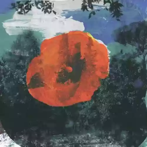Cover di The Great Unknown