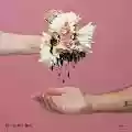<b>Medicine Boy</b> • Lower