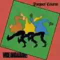 <b>Parquet Courts</b> • Wide Awake!
