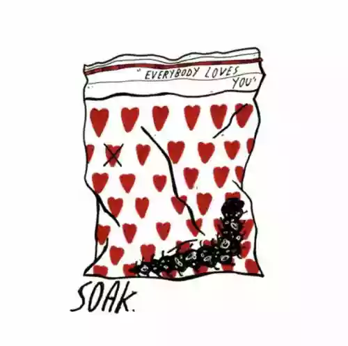 Cover SOAK - Everybody Loves You