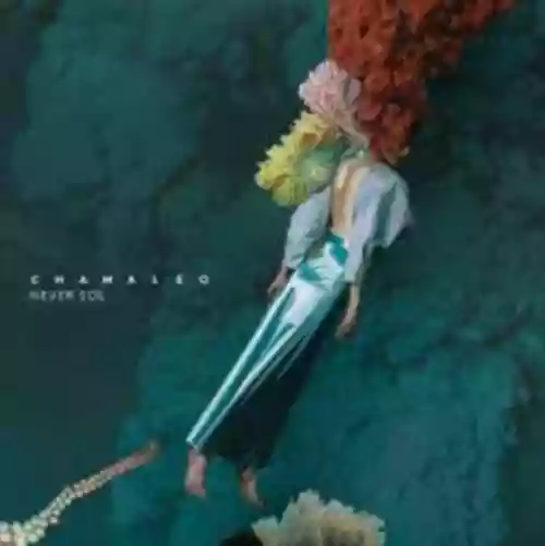 Cover Never Sol - Chamaleo