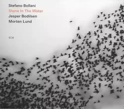 Cover di Stone in the Water