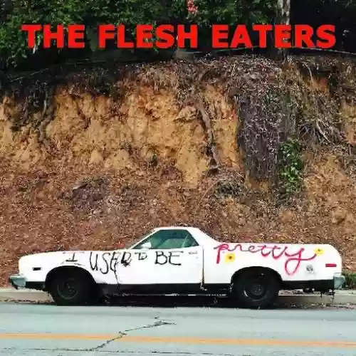 Cover Flesh Eaters - I used to be pretty 