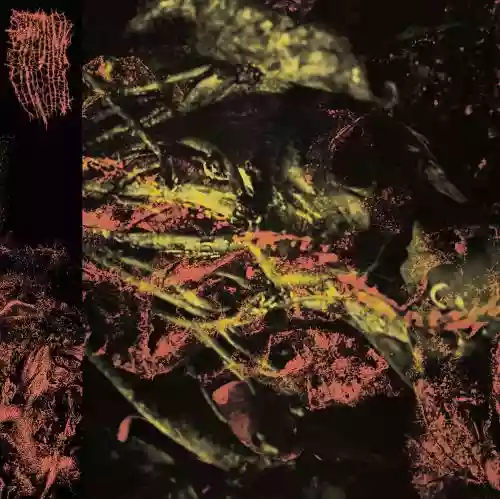 Cover Hissing - Permanent Destitution