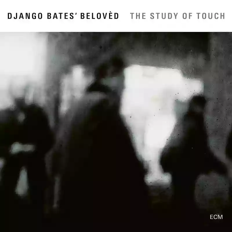 Django Bates: The Study of Touch