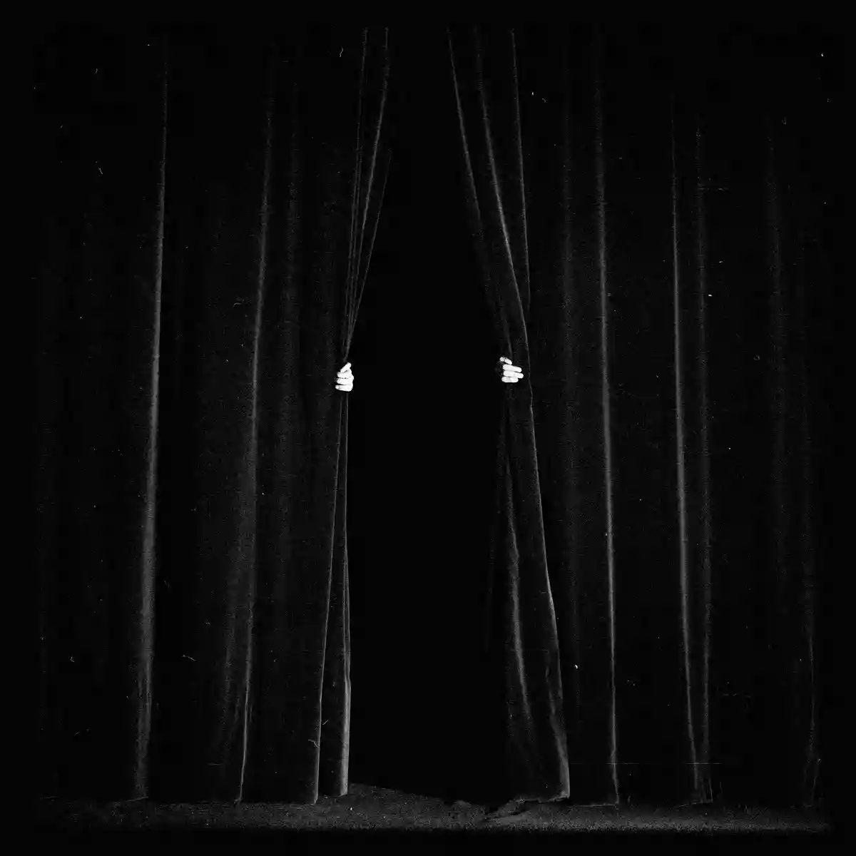 Be Forest: Knocturne