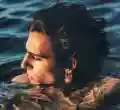 <b>Tamino</b> • Amir