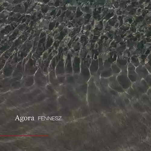 Cover Fennesz - Agora