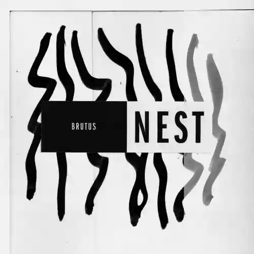 Cover Brutus - Nest