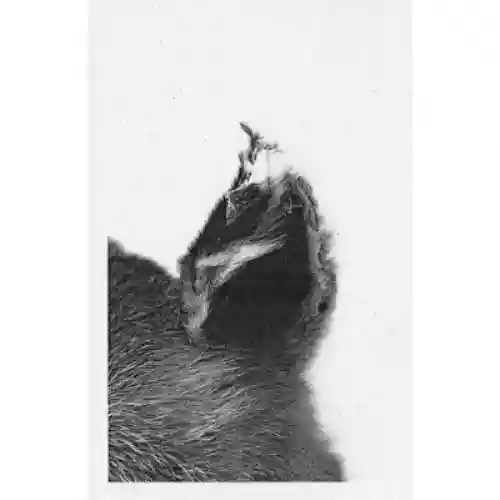 Cover Thorsten Soltau - Fabella