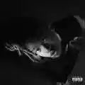 <b>Little Simz</b> • Grey Area