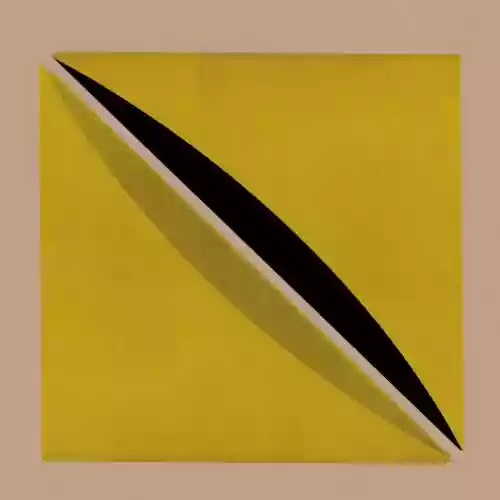 Cover Snow Palms - Origin and Echo