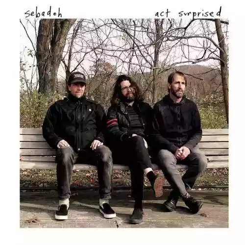 Cover Sebadoh - Act Surprised