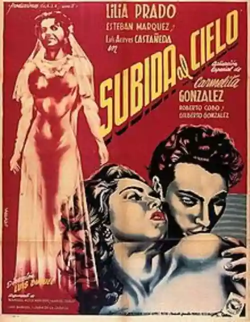 Cover di Salita al cielo 