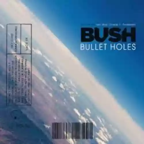 Cover Bush - Bullet Holes (From "John Wick: Chapter 3 - Parabellum")