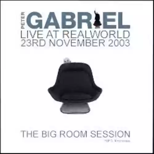 Cover di The big room session
