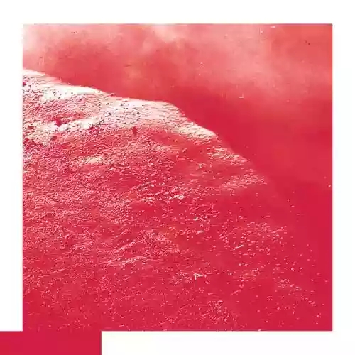 Cover David Allred - The Cell