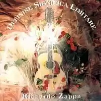 Riccardo Zappa: Definire significa limitare