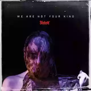 Slipknot: We Are Not Your Kind