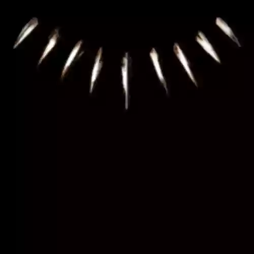 Cover di Black Panther: The Album