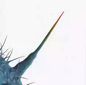Peter Gabriel: And i'll scratch yours