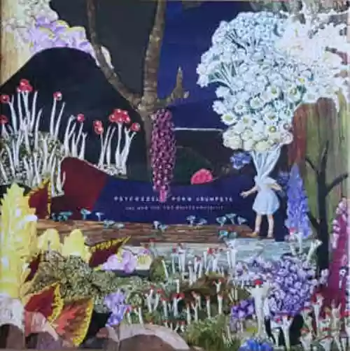Cover Psychedelic Porn Crumpets - And Now For The Whatchamacallit