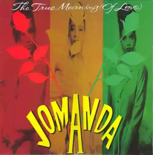 Cover di The True Meaning (Of Love)