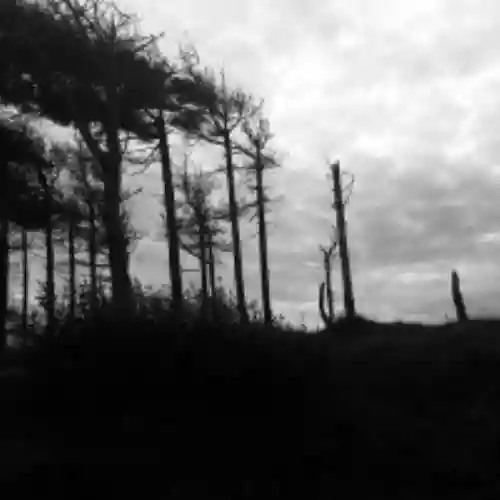 Cover DAKOTA SUITE & QUENTIN SIRJACQ - The indestructibility Of The Already Felled