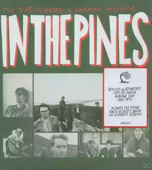 The Triffids: In the Pines