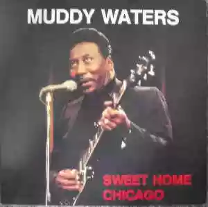 Muddy Waters: Sweet home Chicago