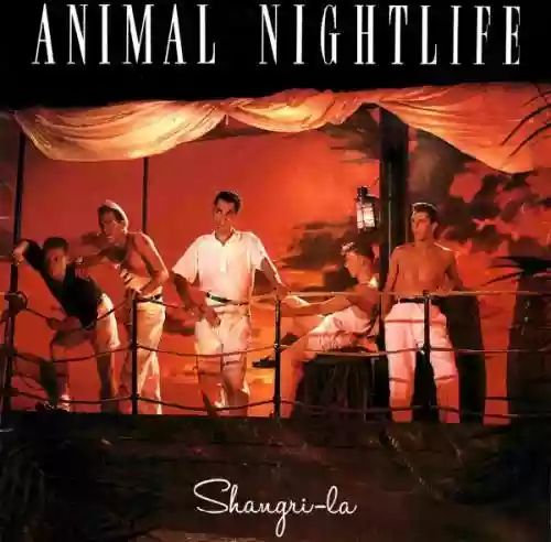 Cover di Shangri La