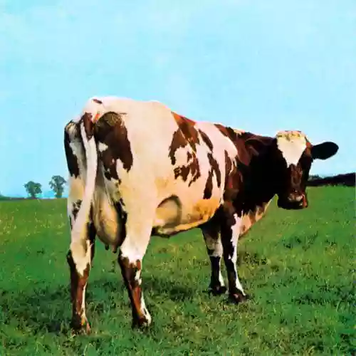 Pink Floyd: Atom Earth Mother