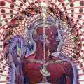 <b>Tool</b> • Lateralus