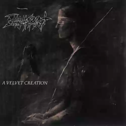 Cover di A Velvet Creation