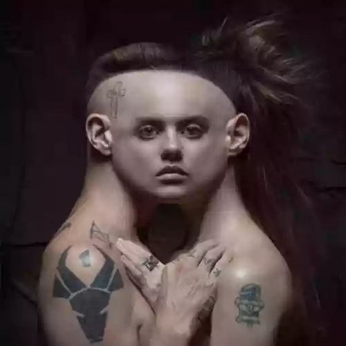 Cover Die Antwoord - House Of Zef