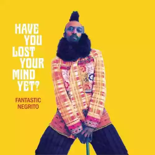 Cover di Have You Lost Your Mind Yet?