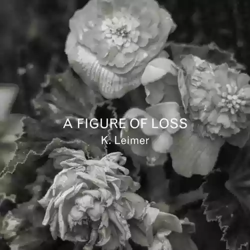 Cover K. LEIMER - A Figure Of Loss