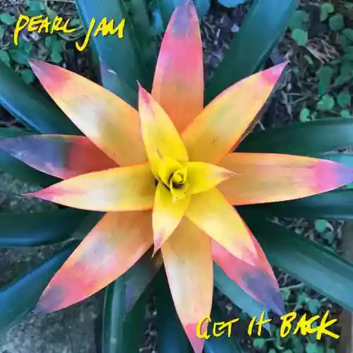 Cover Pearl Jam - Get It Back