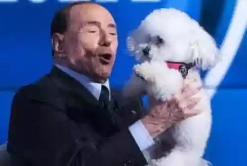 Cover di Gli utenti di debaser