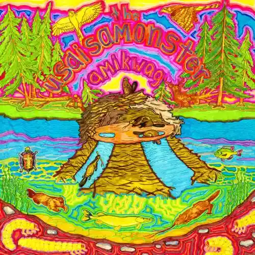 Cover USAISAMONSTER - Amikwag