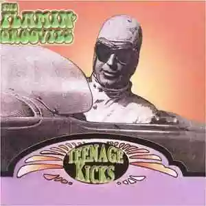 Flamin' Groovies: Teenage Kicks