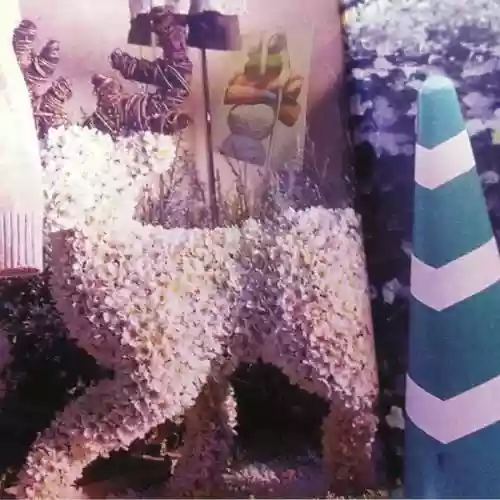 Cover LAILA SAKINI - VIVIENNE