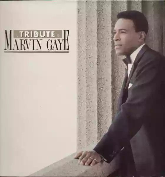Marvin Gaye: A Tribute to Marvine Gaye