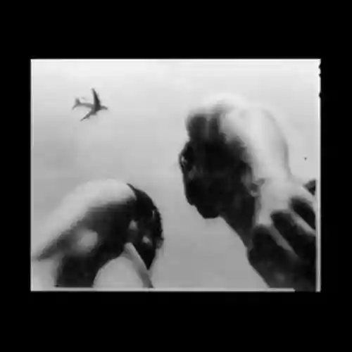 Cover Eve Adams - Metal Bird